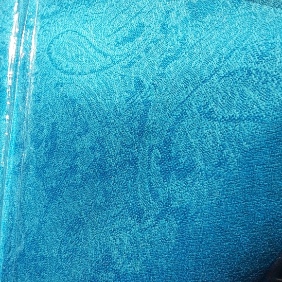 Beautiful Teal Pashmina - Picture 3 of 3